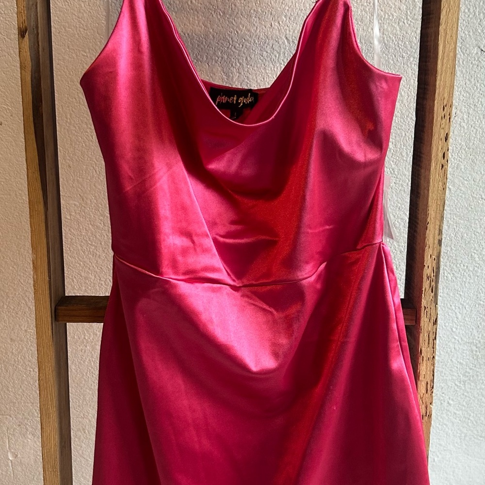 Planet Gold Carmine Rose Satin Dress